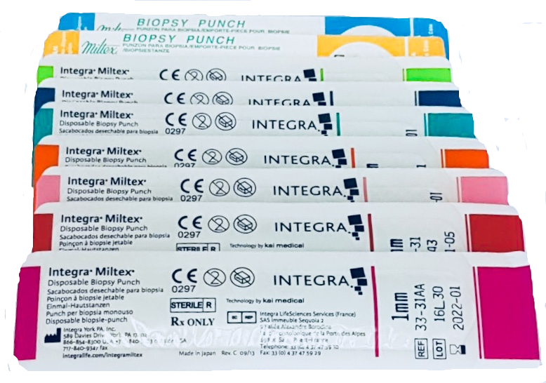 Sacabocados (punch) individual